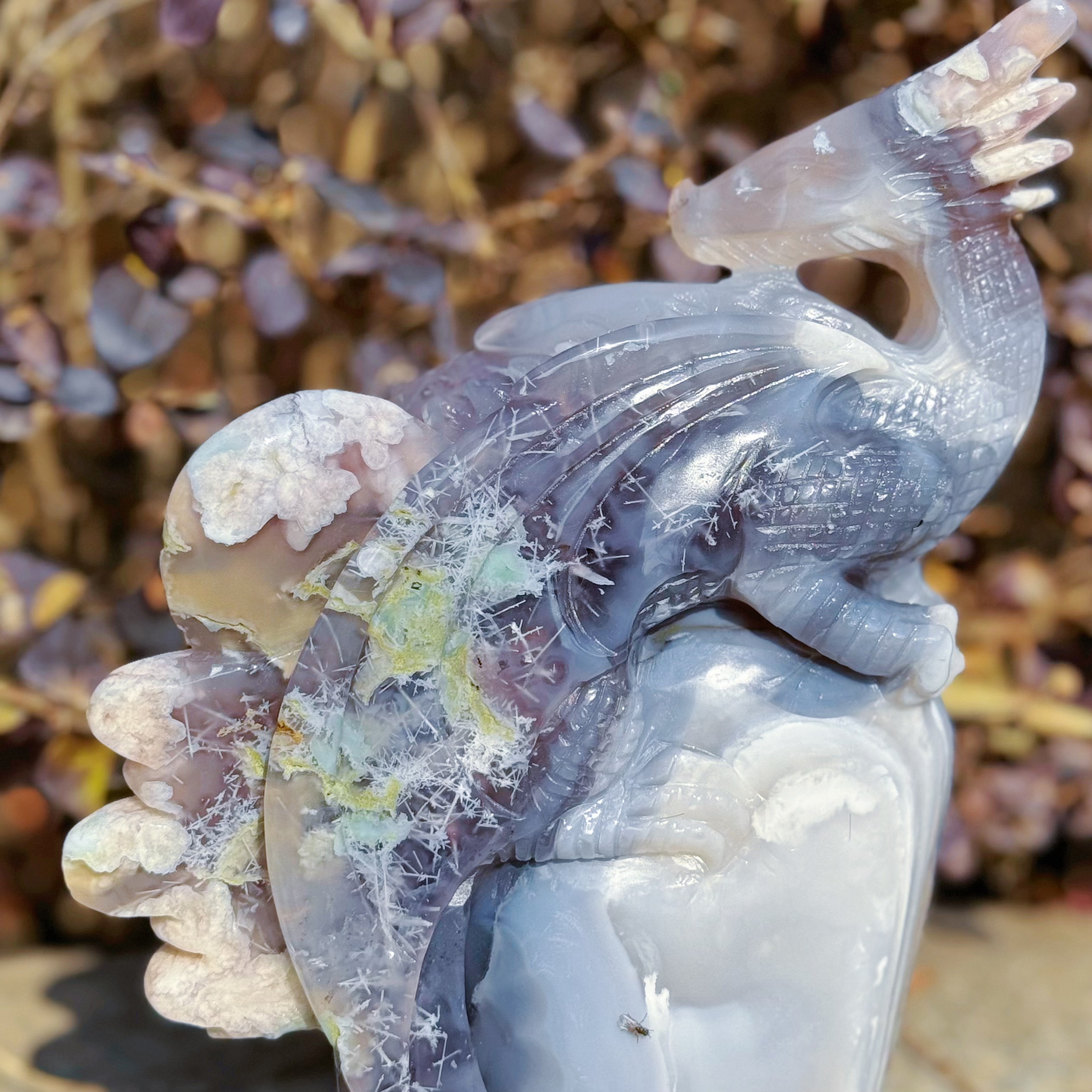 Black Flower Agate Dragon