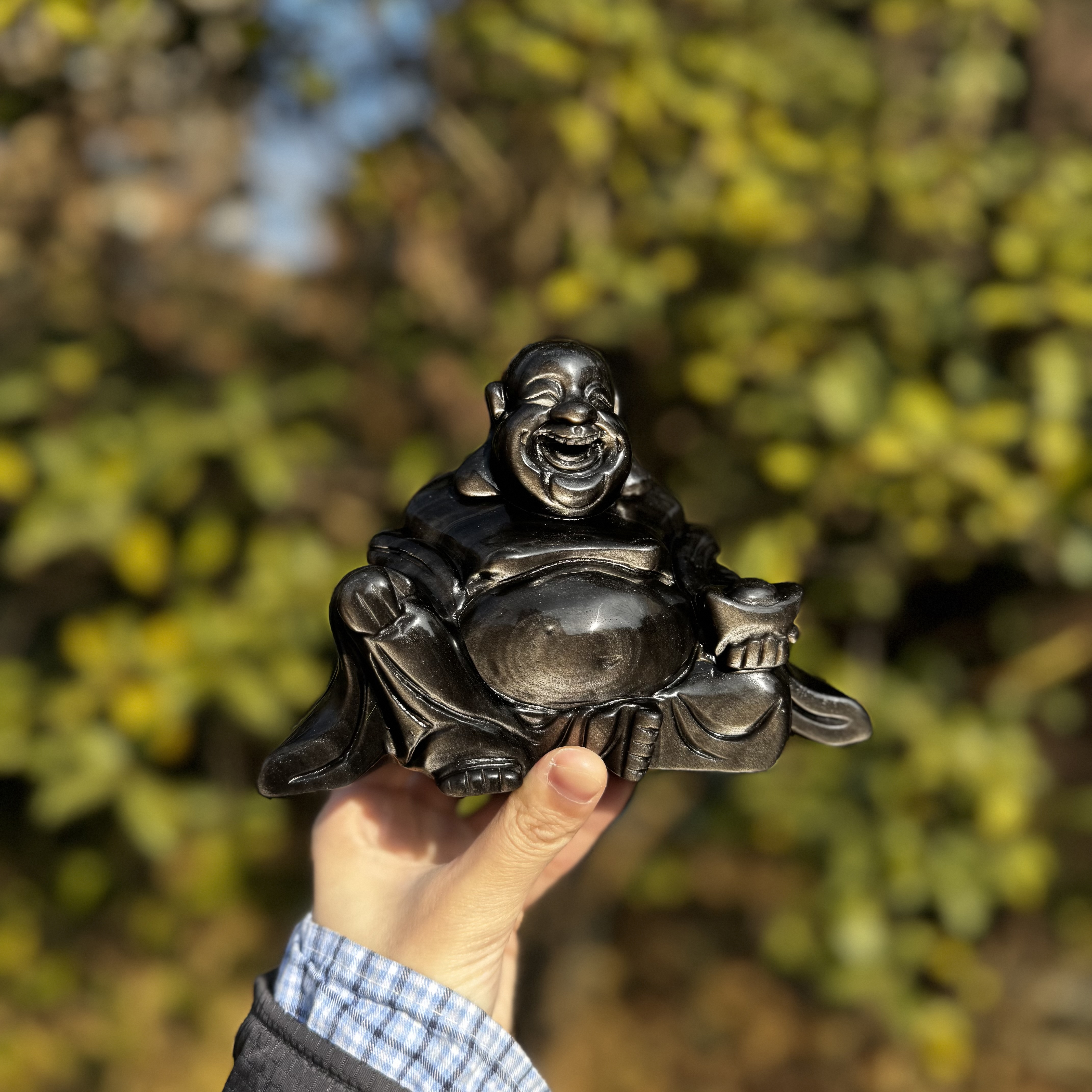 Silver Obsidian Buddhism Carving 