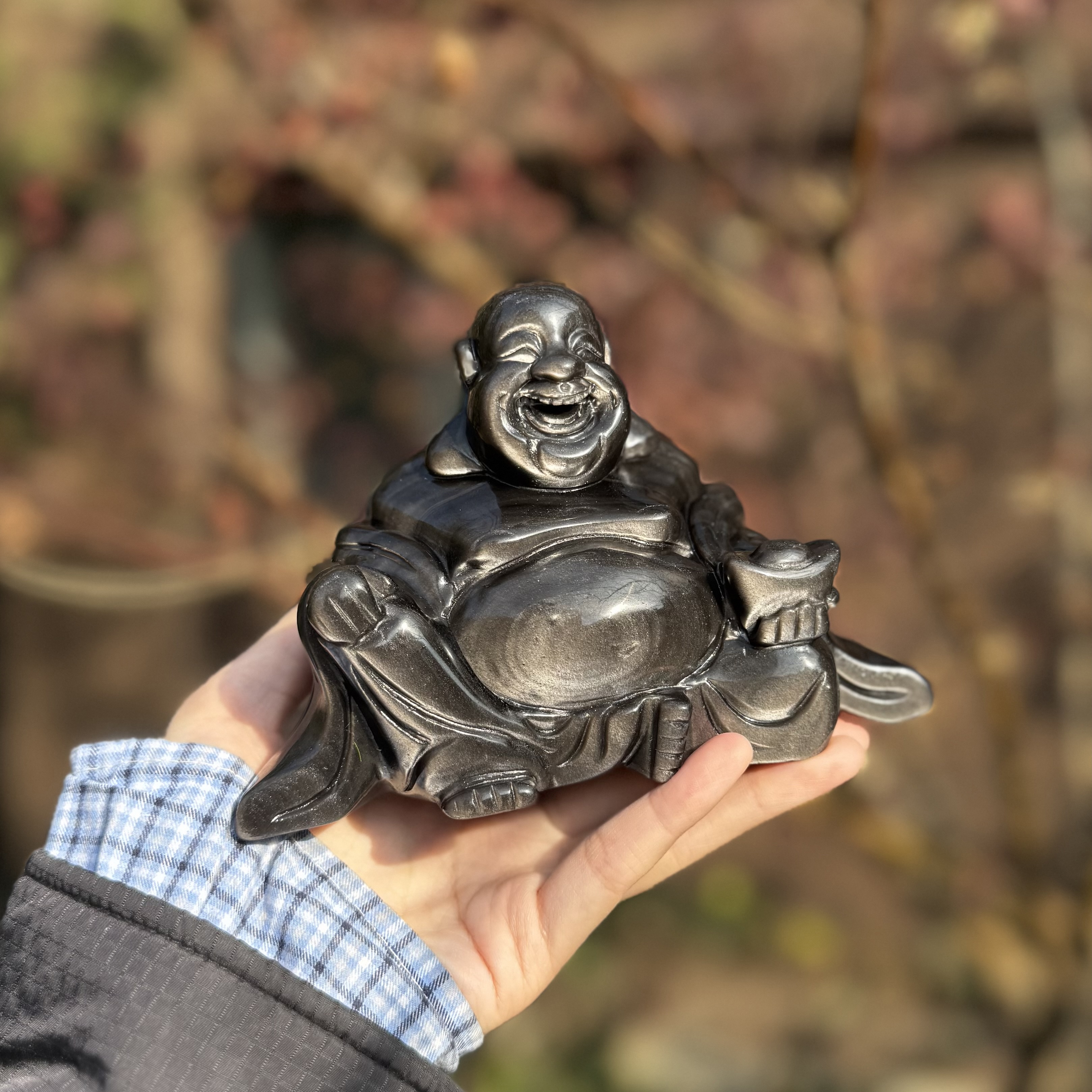 Silver Obsidian Buddhism Carving 
