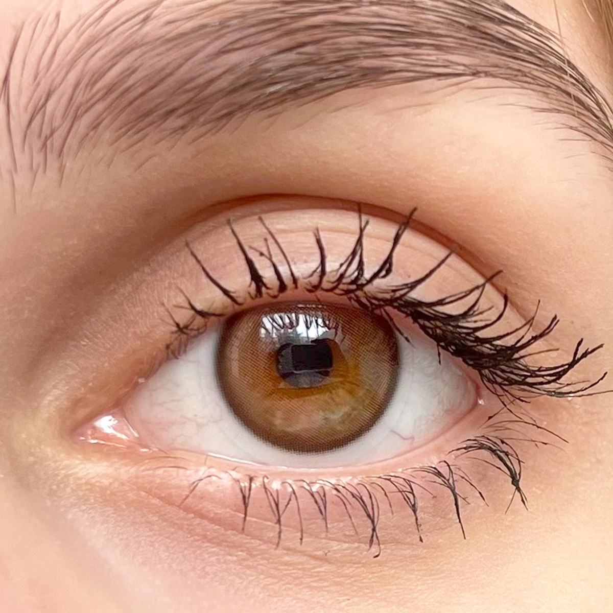 Uniieye Lamp Coffee Colored Contact Lenses | 1 Year