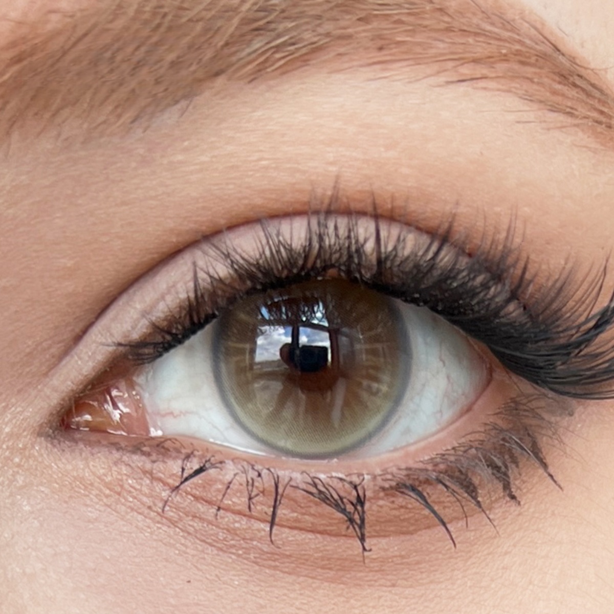 Uniieye Future Light Brown Colored Contact Lenses | 1 Year