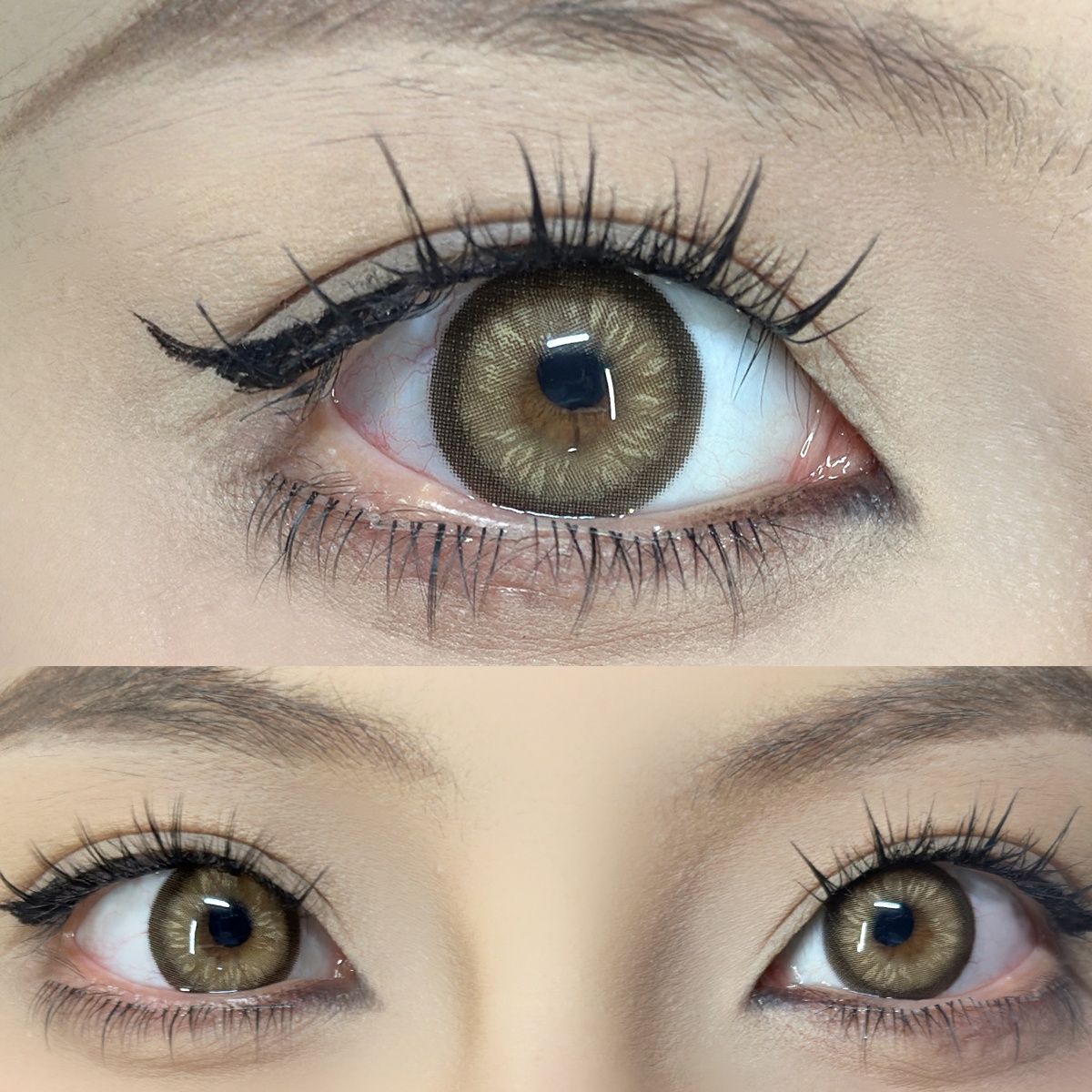 Uniieye Swan Brown Colored Contact Lenses | 1 Year