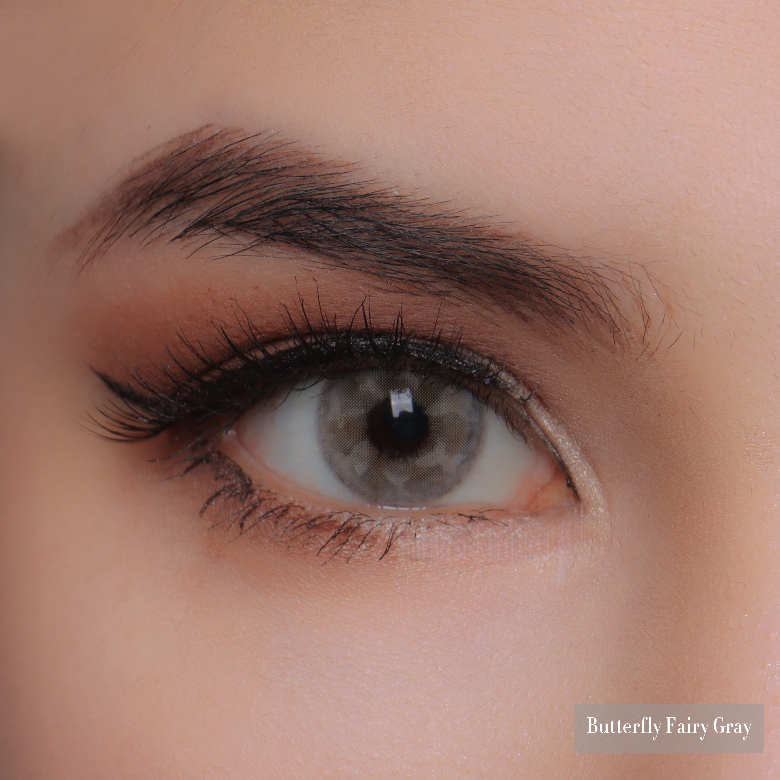 Uniieye Butterfly Fairy Gray Colored Contact Lenses | 1 Year
