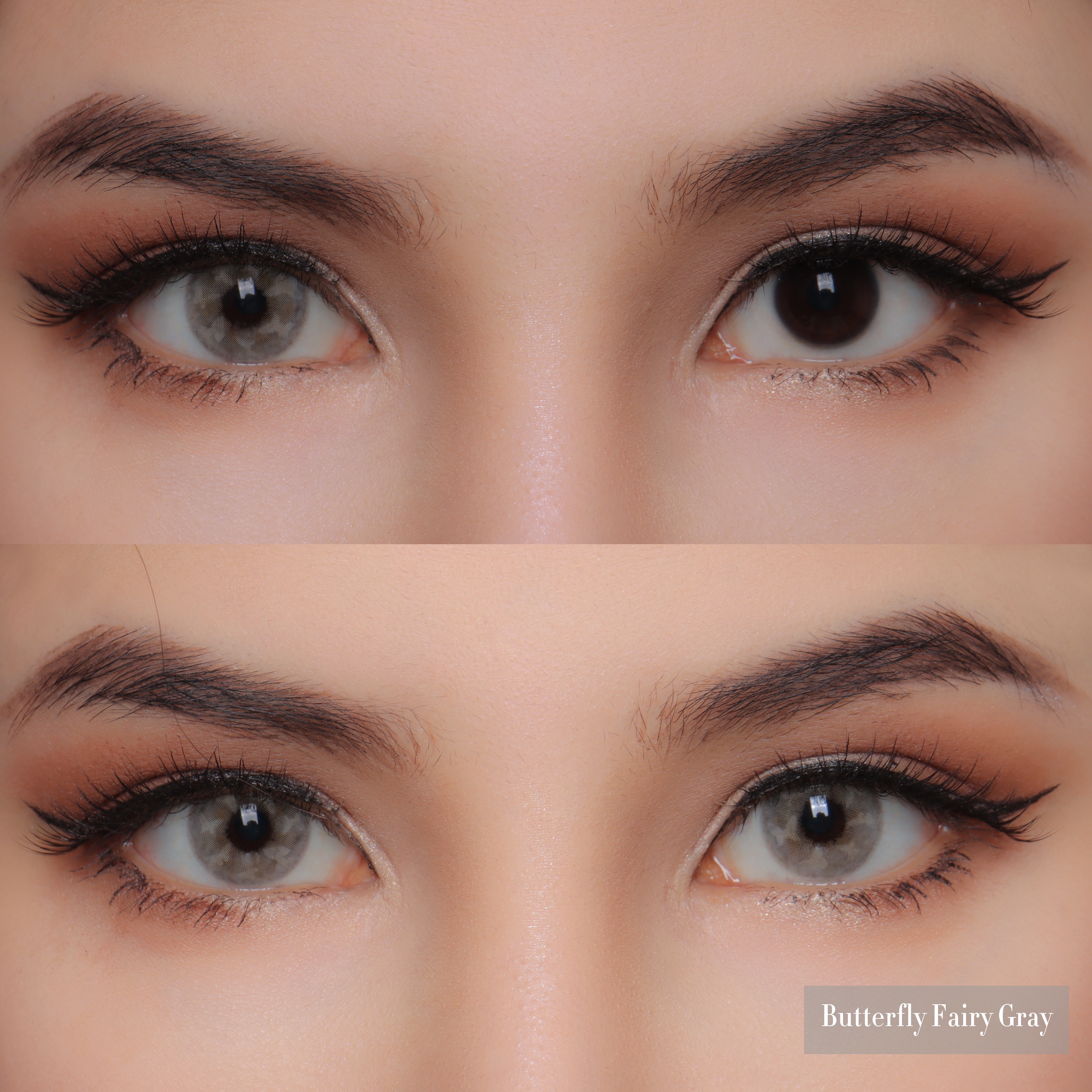 Uniieye Butterfly Fairy Gray Colored Contact Lenses | 1 Year