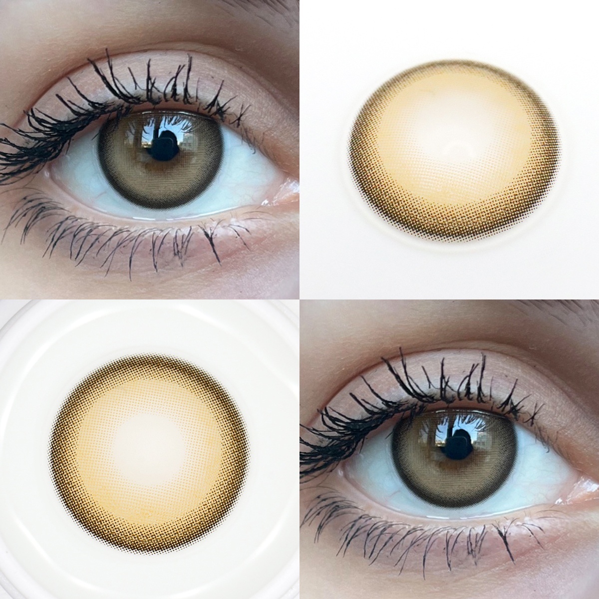 Uniieye Caramel Pudding Colored Contact Lenses | 1 Year