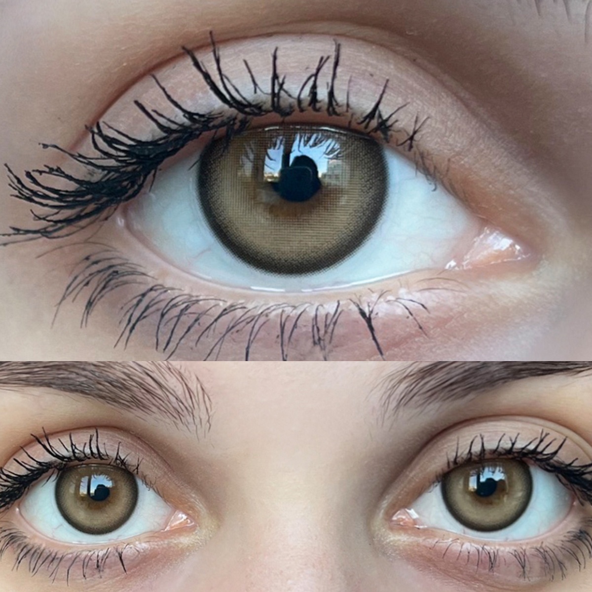 Uniieye Caramel Pudding Colored Contact Lenses | 1 Year