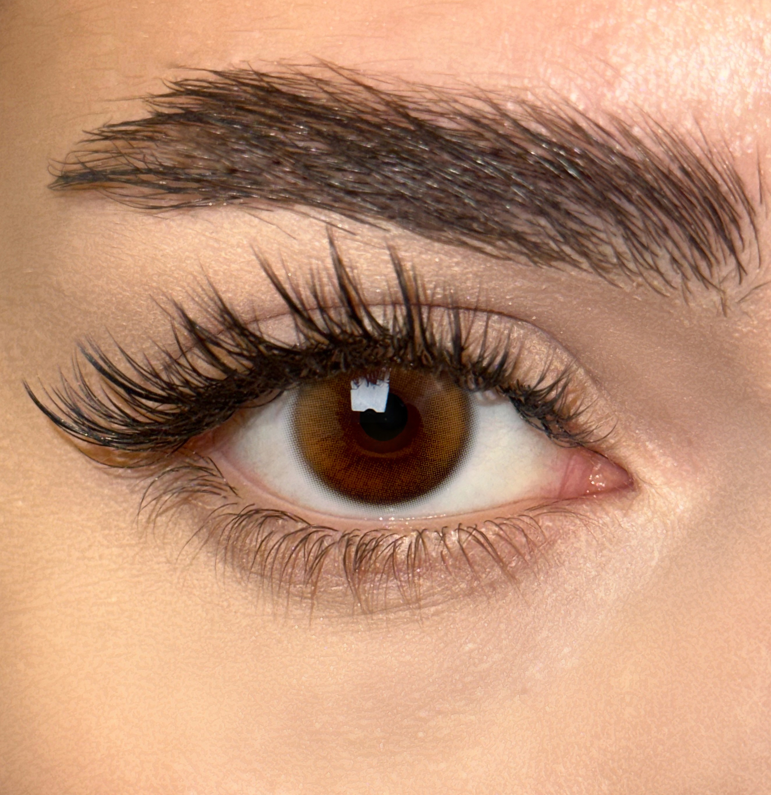 Uniieye chestnut brown Colored Contact Lenses | 1 Year