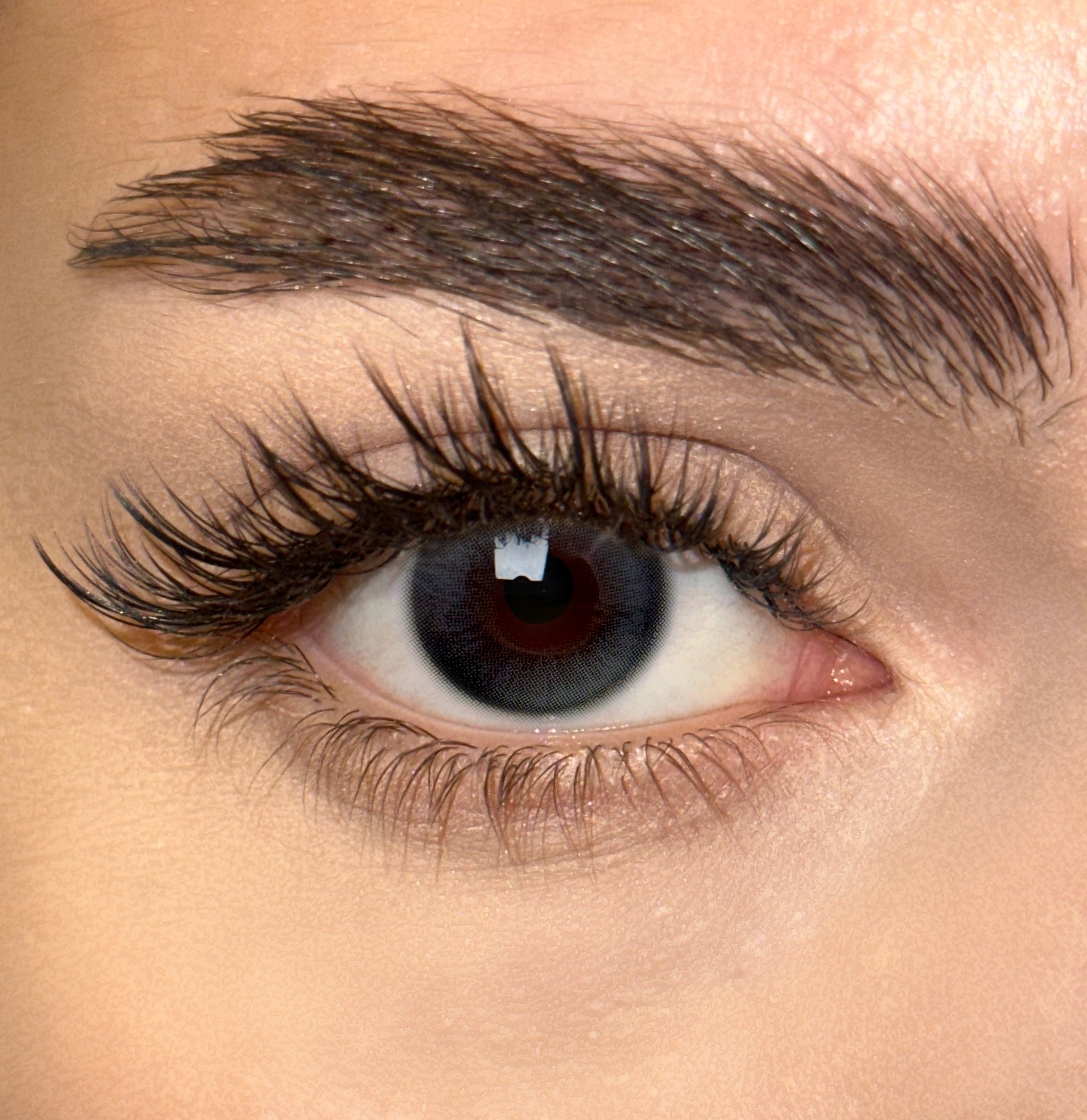 Uniieye Light black Colored Contact Lenses | 1 Year