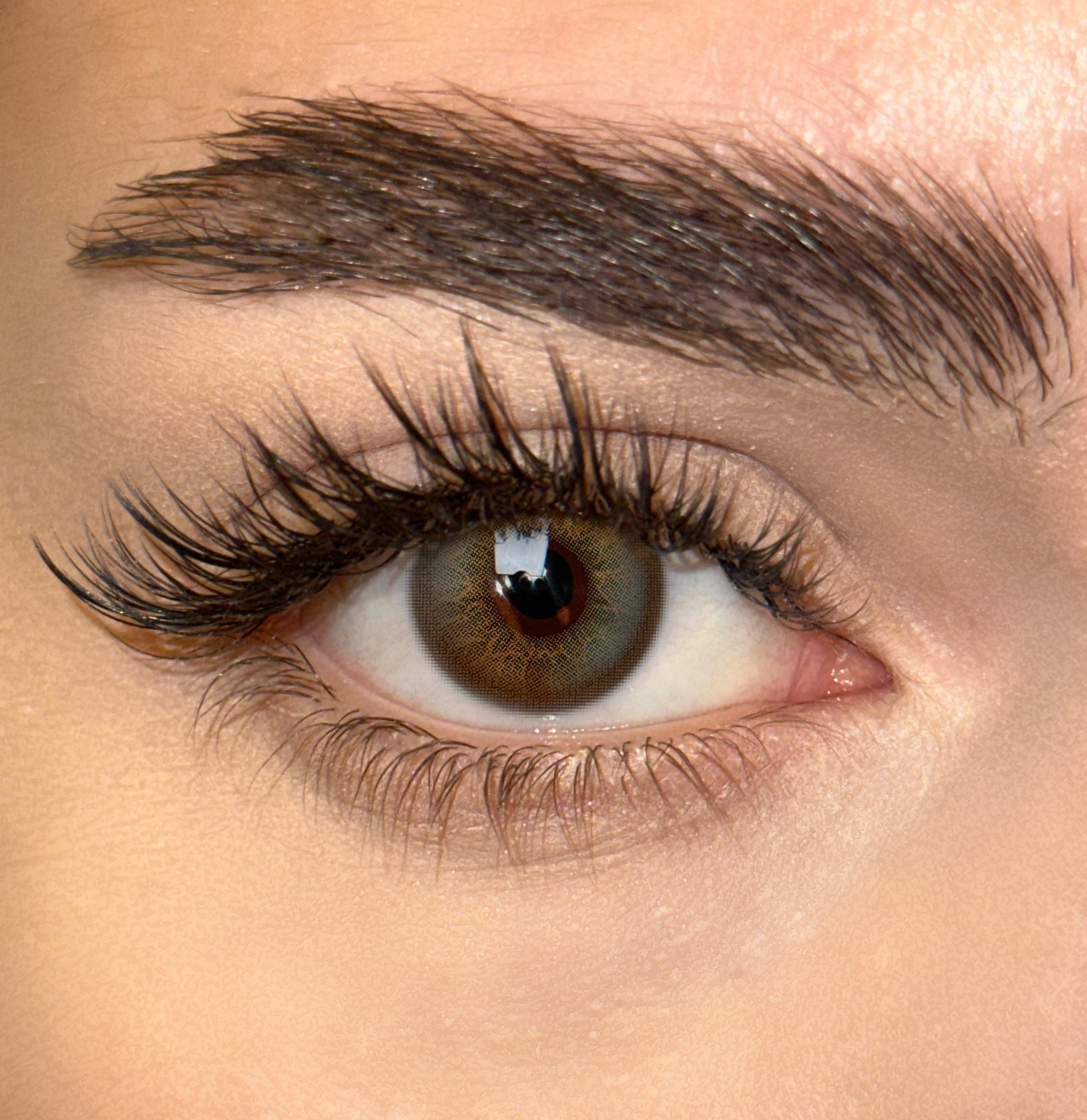 Uniieye Elf gray Colored Contact Lenses | 1 Year