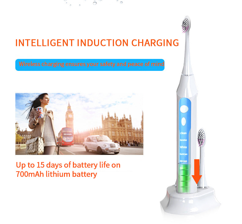 NBGRLVS Electric Toothbrushes Sonic Rechargeable Tooth Brush with 3 Brush Heads-NBGRLVS