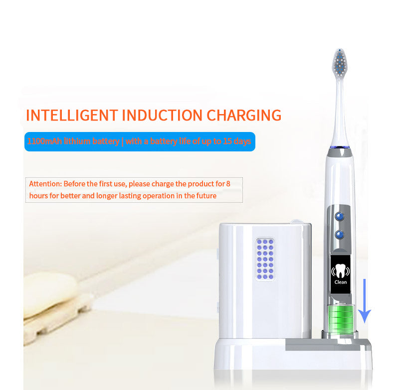 NBGRLVS Rechargeable Sonic Electric Toothbrush with 3 Brush Heads-NBGRLVS
