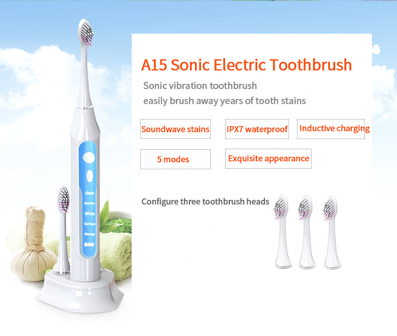 NBGRLVS Electric Toothbrushes Sonic Rechargeable Tooth Brush with 3 Brush Heads-NBGRLVS