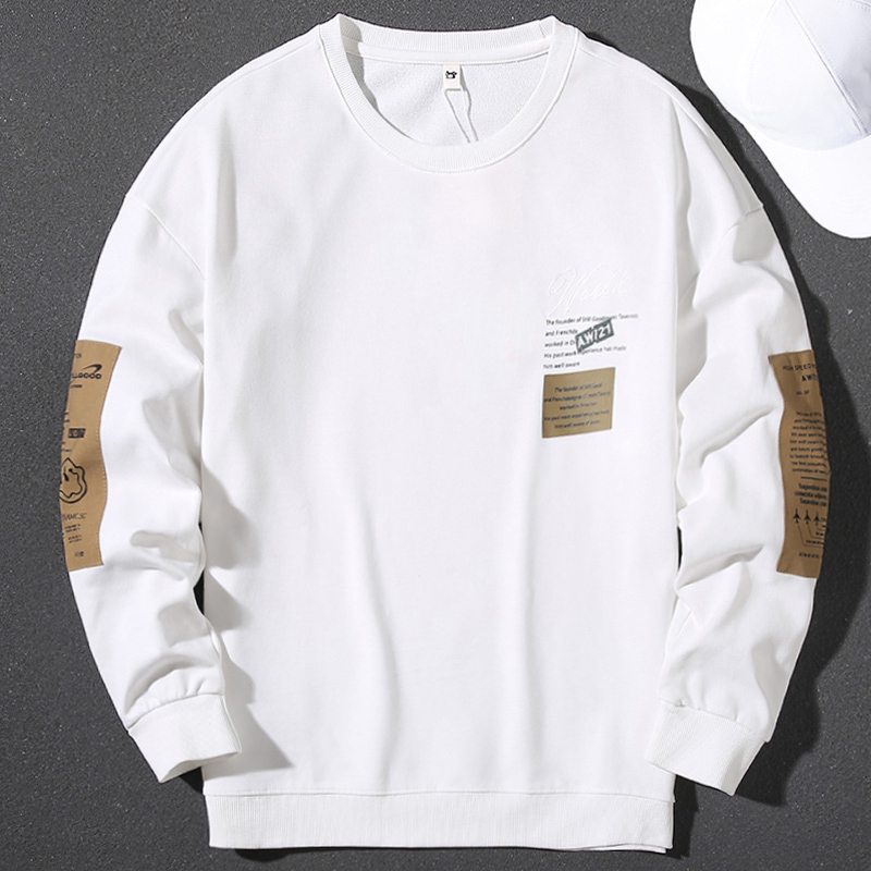 Handsome Japanese sweatshirt men's autumn and winter trendy new round neck pullover long-sleeved printed loose casual versatile top