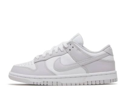 Nikhjgke Dunk Low Top Shoes