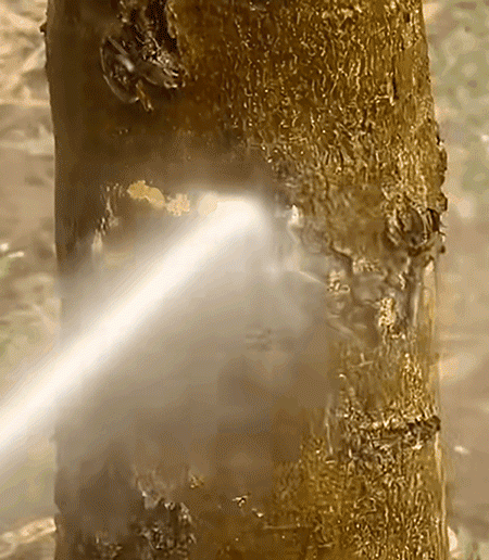 Multi-function car wash water gun with high pressure jet