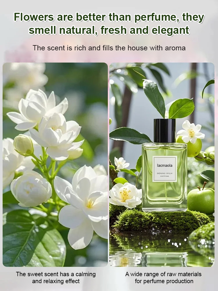 Super Fragrant Double-Petal Jasmine Flower Seeds