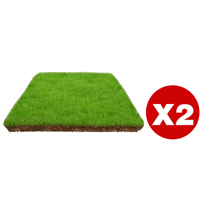 7-day germination lawn seeds