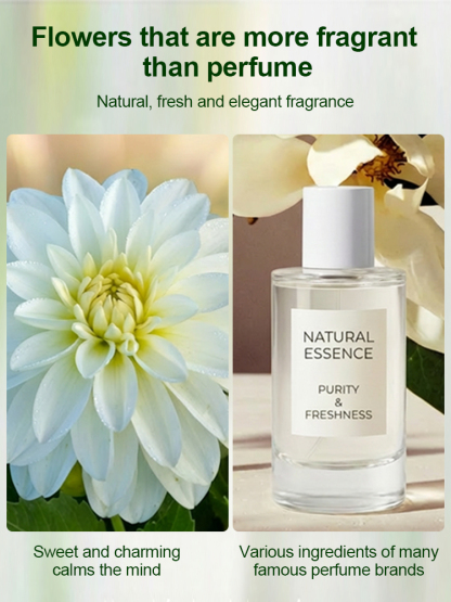 【Base Direct Sales】Four Seasons Blooming Double Dahlia Bulbs