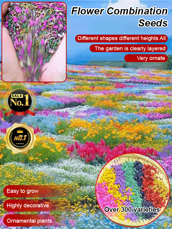 [Four Seasons Blooming] Flower Sea Combination Seeds