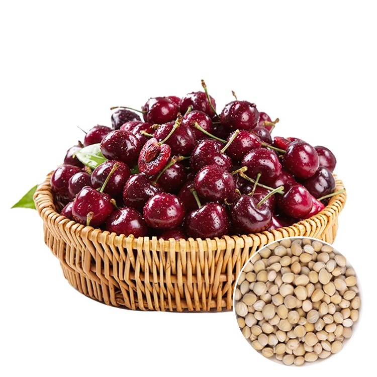 Packed with live cherry pits