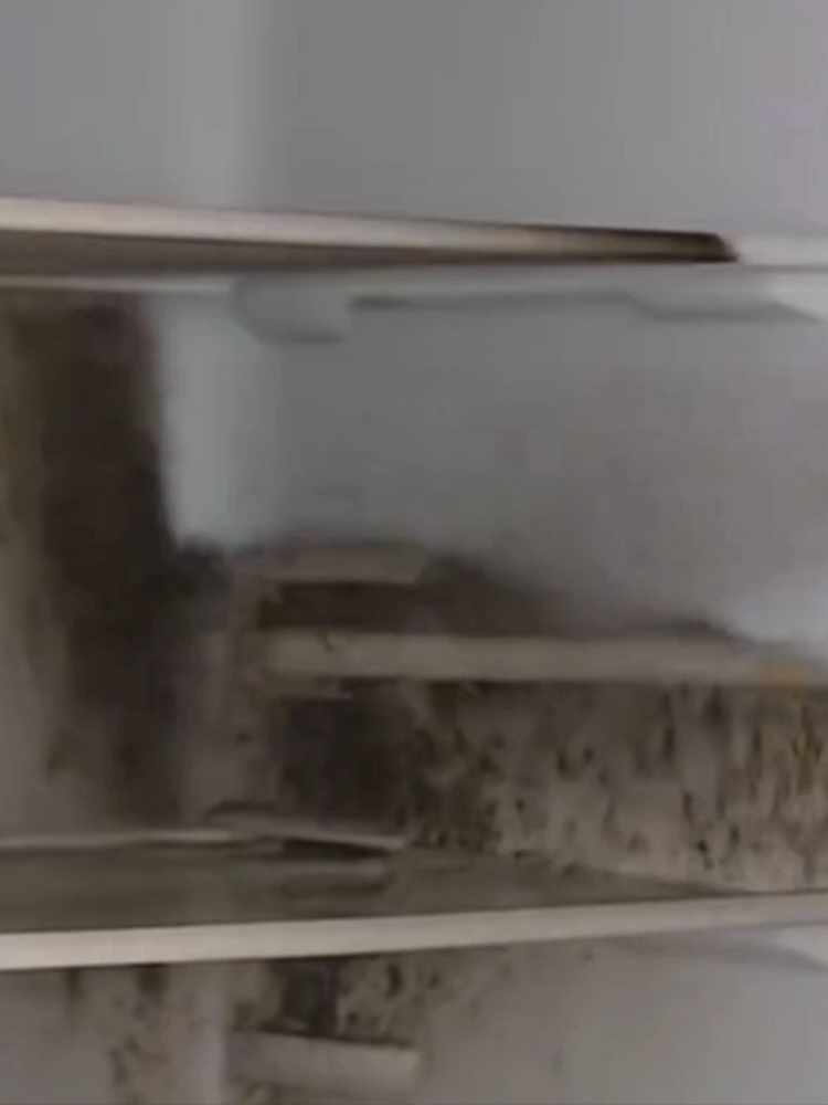 Wall Stain and Mildew Remover Spray