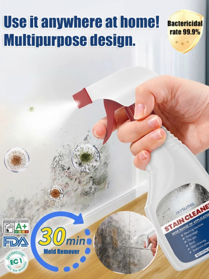 Wall Stain and Mildew Remover Spray