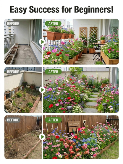 【Over 240,000 Purchased】Easy-to-Grow Mixed Flower Seeds