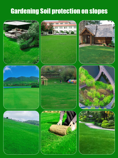 7-day germination lawn seeds