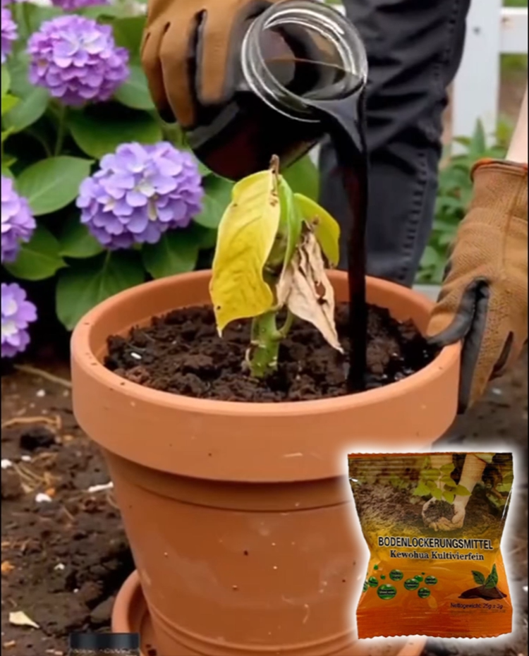 Plant Nutrition Soil Activator