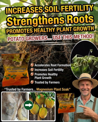 Plant Nutrition Soil Activator