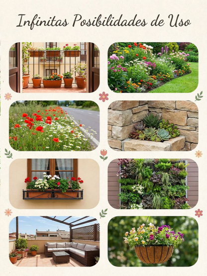 【Over 240,000 Purchased】Easy-to-Grow Mixed Flower Seeds