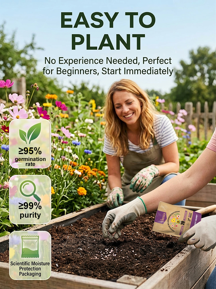 【Over 240,000 Purchased】Easy-to-Grow Mixed Flower Seeds