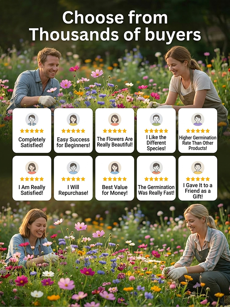 【Over 240,000 Purchased】Easy-to-Grow Mixed Flower Seeds