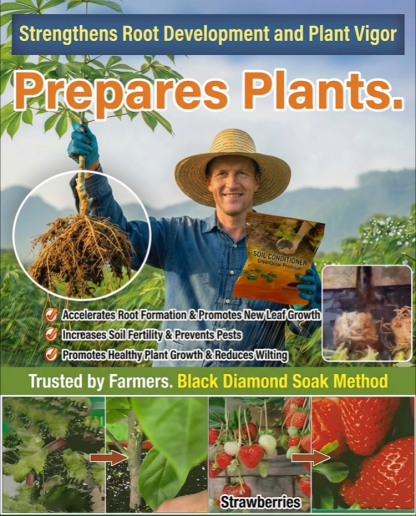 Plant Nutrition Soil Activator