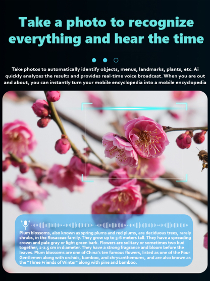 AI smart glasses with camera