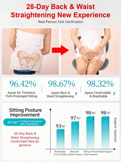 Foldable Lumbar Support and Backrest Integrated Seat Cushion for Correcting Posture