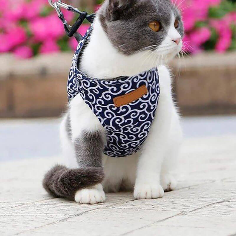 Cat Dogs Vest Harness and Leash Anti-break Away Chest Strap Cat Clothes