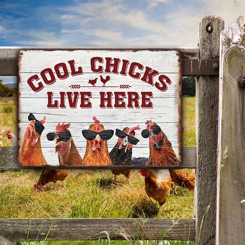 Chicken Coop Sign | Cool Chicks Live Here Chicken Coop Sign Metal Cool Chicks Live Here Information Signs-Jolura
