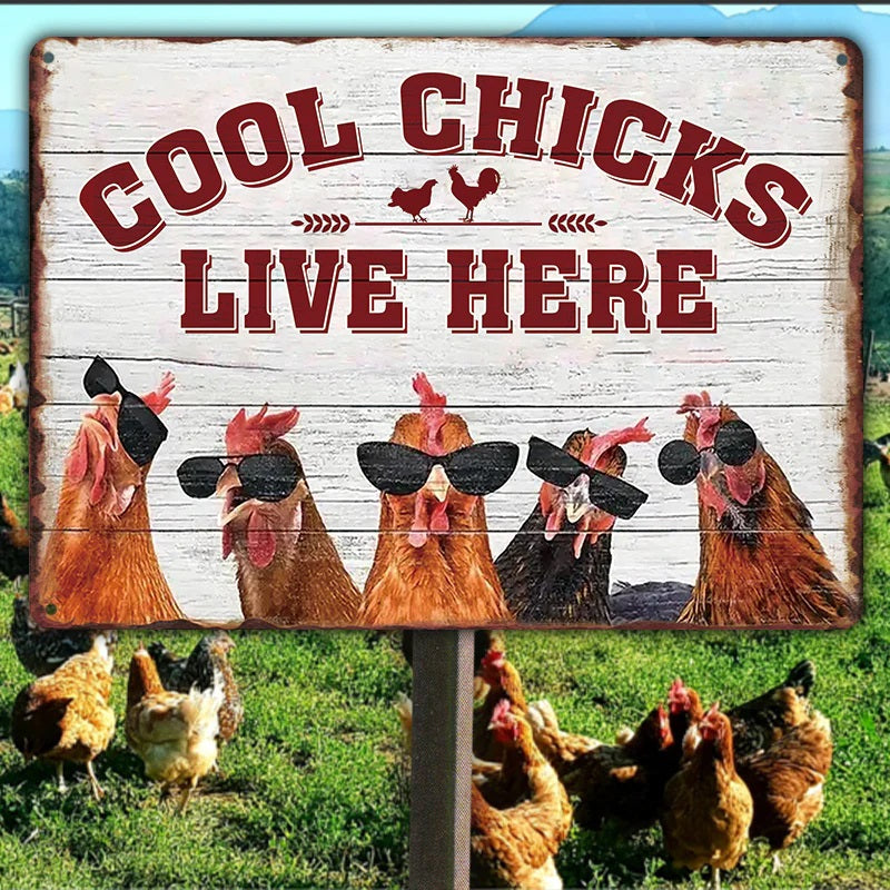 Chicken Coop Sign | Cool Chicks Live Here Chicken Coop Sign Metal Cool Chicks Live Here Information Signs-Jolura