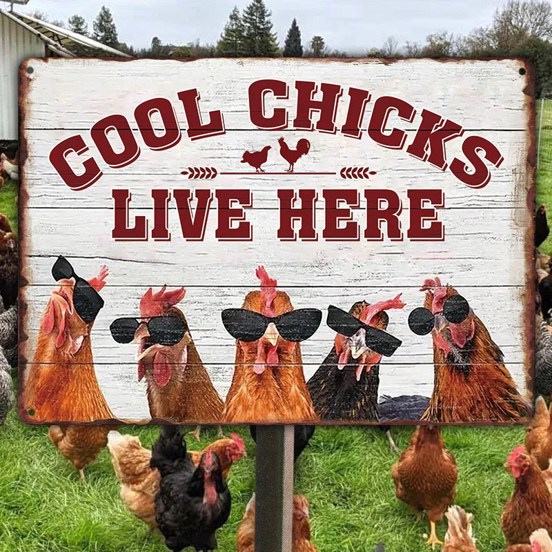 Chicken Coop Sign | Cool Chicks Live Here Chicken Coop Sign Metal Cool Chicks Live Here Information Signs-Jolura