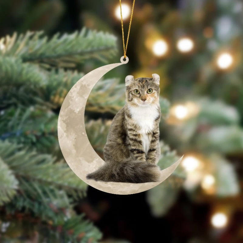American Curl Cat Sits On The Moon Hanging Ornament CS023