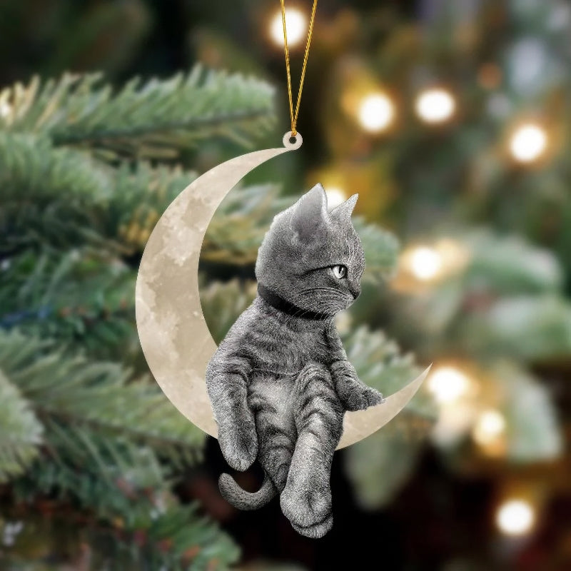 Cat Sits On The Moon Hanging Ornament CS016