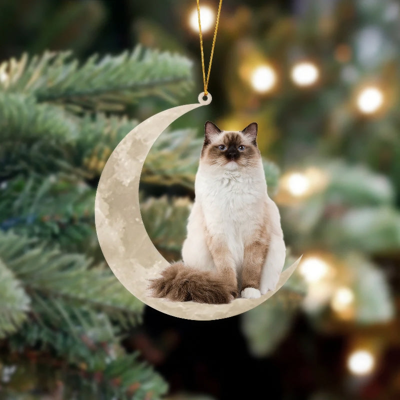 Ragdoll Cat Sits On The Moon Hanging Ornament CS005