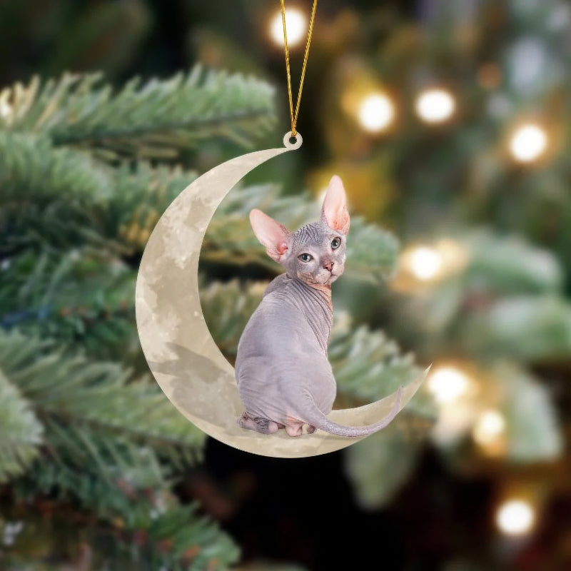 Sphynx Cat Sits On The Moon Hanging Ornament CS013