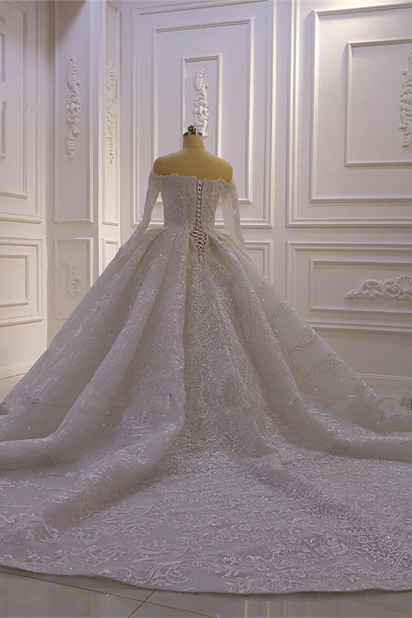 Brautkleider mit Langem Arm | Silbernes Hochzeitskleid