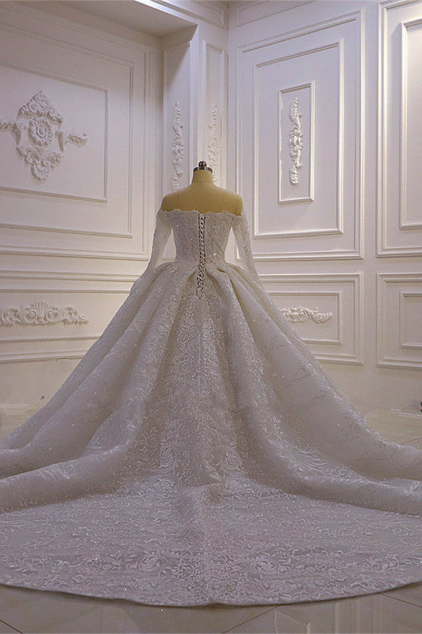 Brautkleider mit Langem Arm | Silbernes Hochzeitskleid