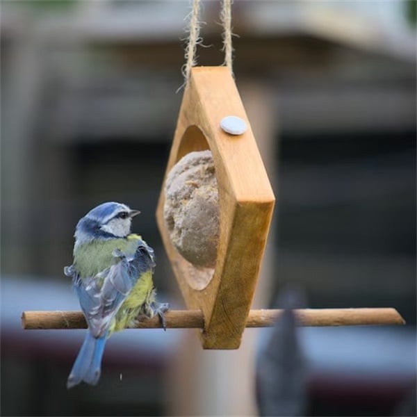 🐦Fruit bird feeder Ideal for garden💚(Handmade Eco-friendly backyard decor)
