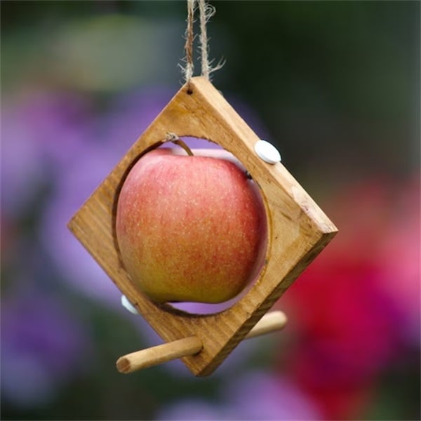🐦Fruit bird feeder Ideal for garden💚(Handmade Eco-friendly backyard decor)