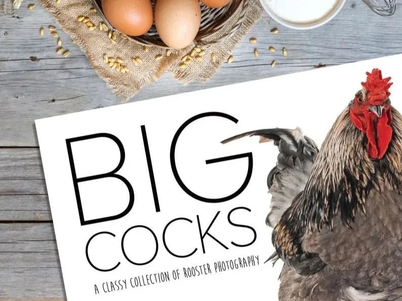 🤣Funny 2025 Big Cocks🐔 Calendar