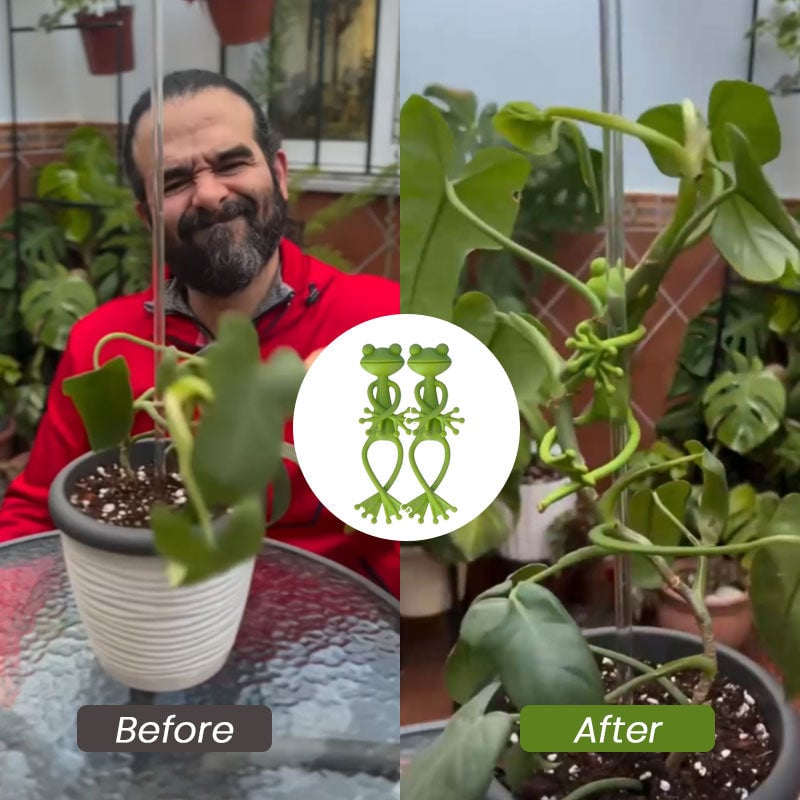 🔥Last Day Promotion - 70% OFF🎁 - Frog Plant Stand